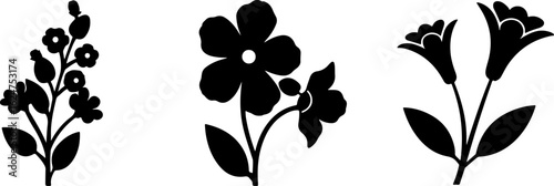 Floral Silhouettes Collection"