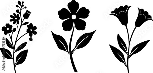 Floral Silhouettes Collection"