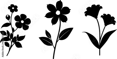 Floral Silhouettes Collection"