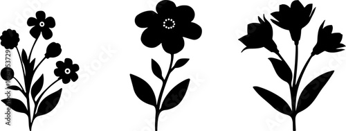 Floral Silhouettes Collection"