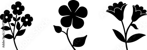 Floral Silhouettes Collection"