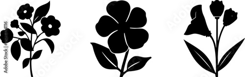 Floral Silhouettes Collection"