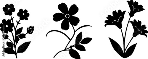 Floral Silhouettes Collection"