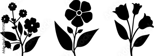 Floral Silhouettes Collection"