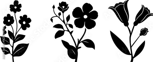 Floral Silhouettes Collection"