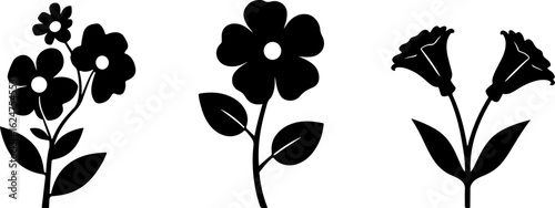 Floral Silhouettes Collection"