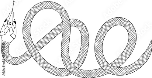 Snake with scales outline vector illustration 