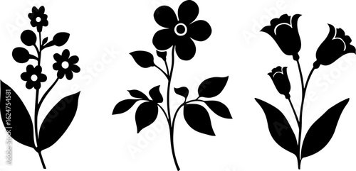 Floral Silhouettes Collection"