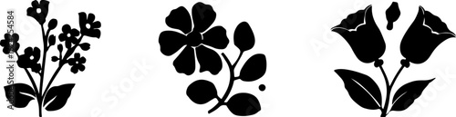 Floral Silhouettes Collection"