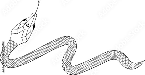 Snake with scales outline vector illustration 