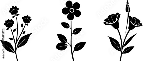 Floral Silhouettes Collection"