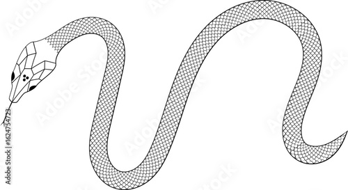 Snake with scales outline vector illustration 