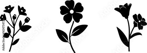 Floral Silhouettes Collection"