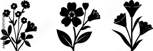 Floral Silhouettes Collection"