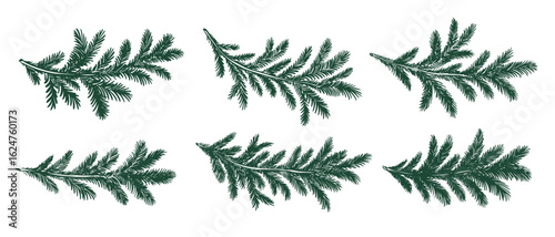 Christmas green tree branch set, hand drawn	
