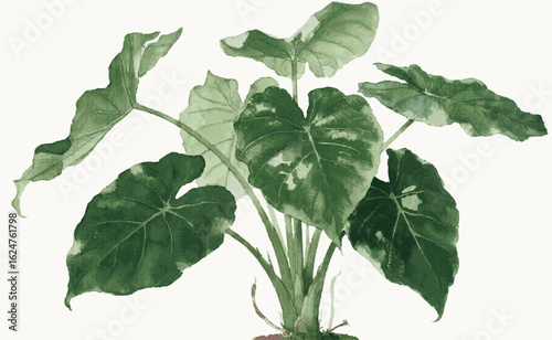 Blooming Branches Elephant Ear Beautiful leafy tree isolated watercolor vector illustration svg