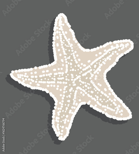 starfish. vector starfish. Marine icon