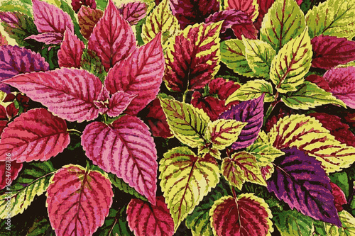 Whispering Leaves Coleus Beautiful leafy tree isolated watercolor vector illustration svg