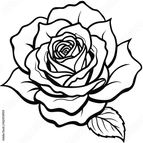 Wallpaper Mural White rose vector illustration on black background, a vintage floral design element Torontodigital.ca