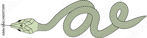 Green and black Snake with scales vector illustration 
