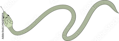 Green and black Snake with scales vector illustration 