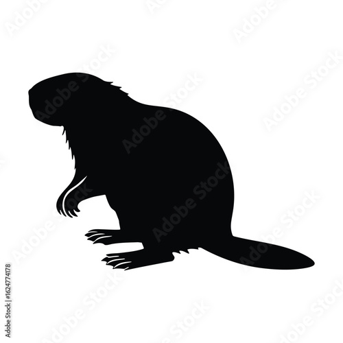 North American beaver silhouette black vector isolated on white background
