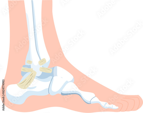 inversion ankle