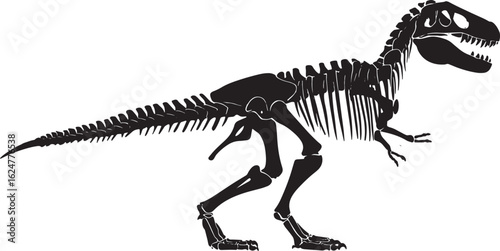 Vector art of tyrannosaurus rex skeleton isolated on white background