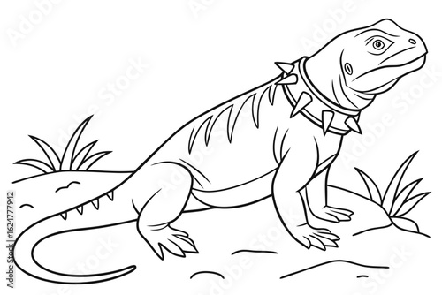 coloring page line art the chuckwalla black vector