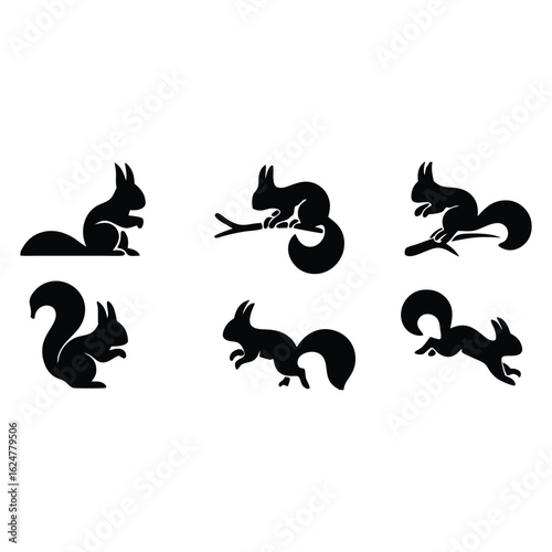 Squirrels in various poses on branches