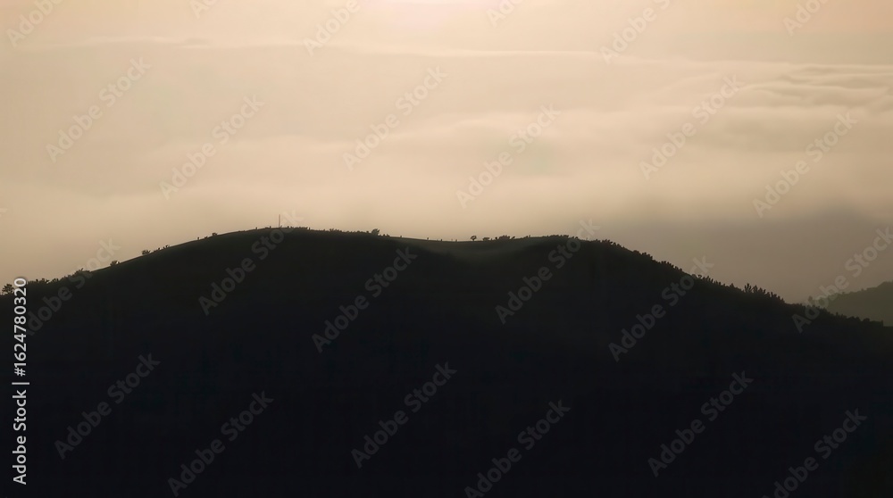 Fototapeta premium Golden Hour Over Rolling Hills