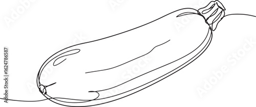 Continuous line art showcasing a fresh zucchini against a pristi