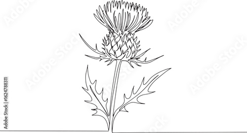 Elegant Thistle Blossom Depiction: Single Line Art Illustration