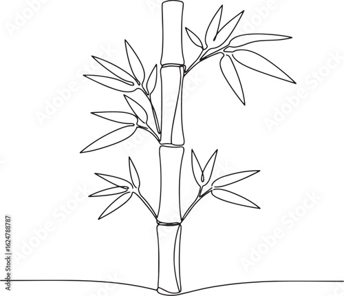 Minimalist line drawing of bamboo stalk with leaves, botanical i
