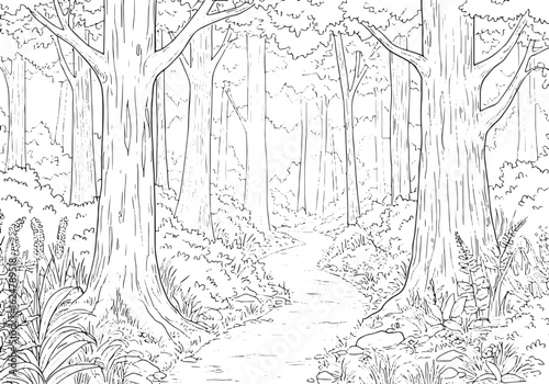 Detailed Woodland Scene Line Art Perfect for Coloring Books and