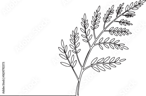 Minimalist botanical illustration of fern branch in continuous l