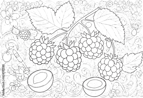 Detailed Dewberry Fruit Outline Art with Peach Accents and Swirl