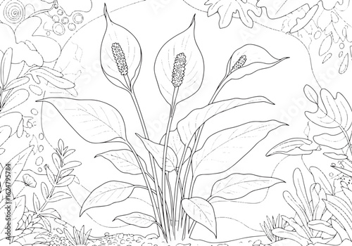Detailed line art illustration of a peace lily plant surrounded