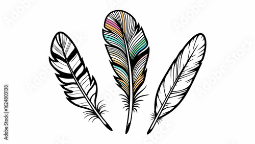 Set of three bird feathers in hand-drawn monochrome style with one colored element in the center, representing contrast, softness, and natural detail
