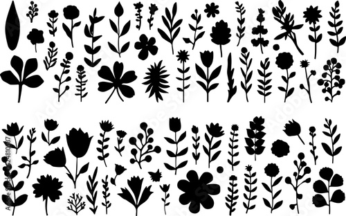 Botanical Silhouette Collection