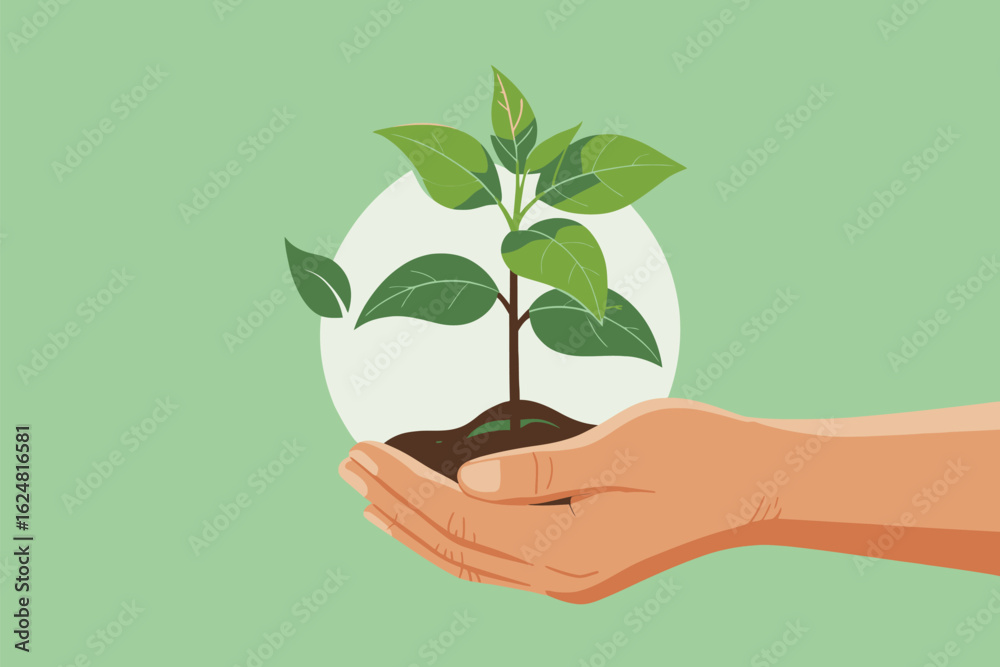 A hand holding a small plant with green leaves and brown soil against a light green background circle behind A hand holding a small plant with green leaves and brown soil against a light green background circle behind