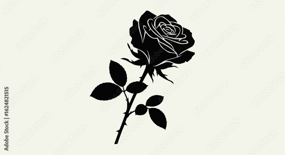 Obraz premium rose on black