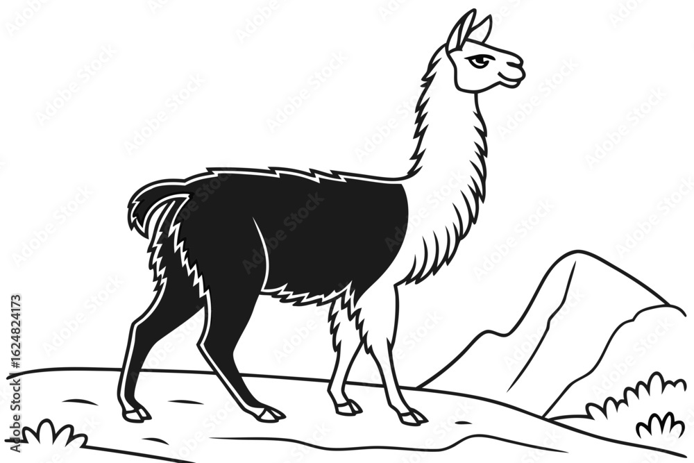 Fototapeta premium coloring page line art the alpaca black vector