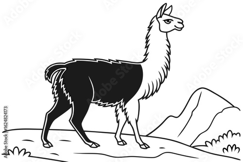 coloring page line art the alpaca black vector