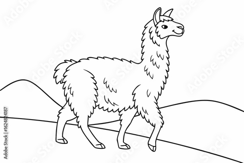 coloring page line art the alpaca black vector
