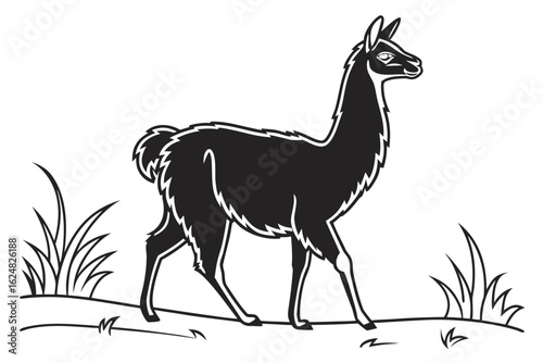 coloring page line art the llama black vector