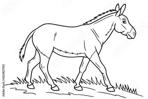 coloring page line art the mule black vector