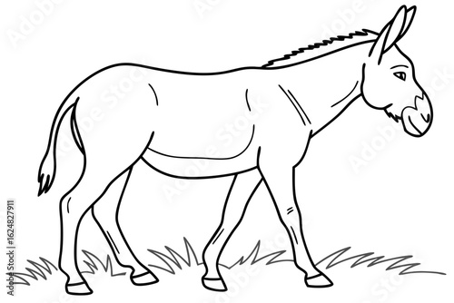 coloring page line art the mule black vector