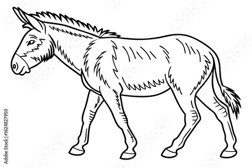 coloring page line art the mule black vector