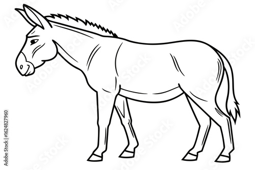 coloring page line art the mule black vector
